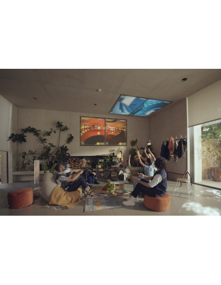 Epson Ef-12