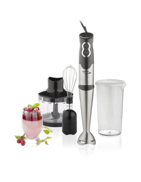 Gallet Naucelle Mix 435 Blender Immersyjny 500 W Czarny, Stal Nierdzewna