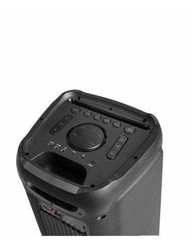 Partybox Blaupunkt Pb10Db (Bluetooth I Karaoke)