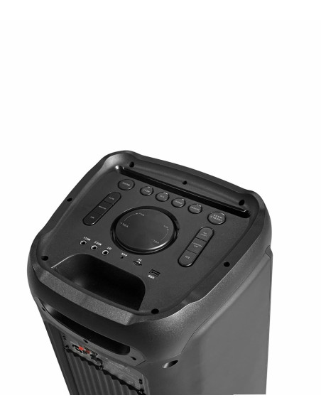Partybox Blaupunkt Pb10Db (Bluetooth I Karaoke)
