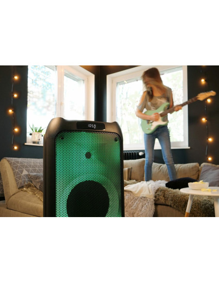 Partybox Blaupunkt Pb10Db (Bluetooth I Karaoke)
