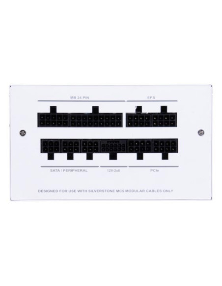 Silverstone Da850R Moduł Zasilaczy 850 W 20-Pin Atx Atx Biały