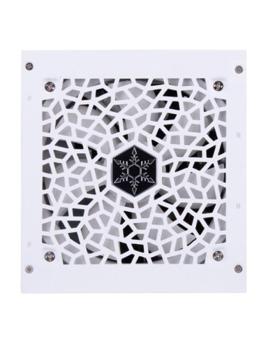 Silverstone Da850R Moduł Zasilaczy 850 W 20-Pin Atx Atx Biały