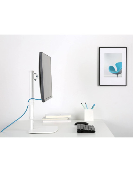 Techly Ica-Lcd 260 Uchwyt / Stojak Do Monitorów 68,6 Cm (27") Biurko Biały