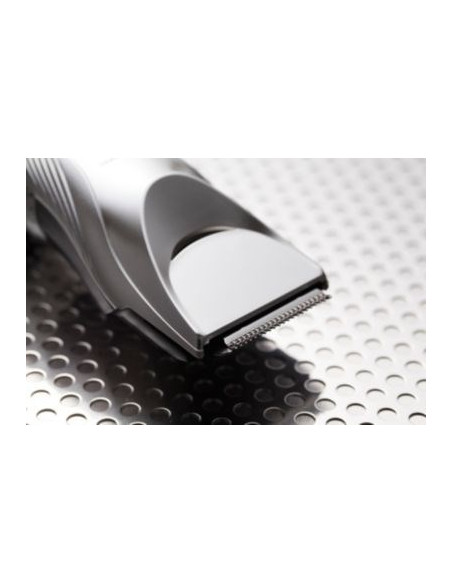 Panasonic Er-Gc71 Srebrny