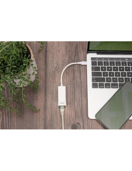 Digitus Adapter Gigabit Ethernet Usb Type-C™