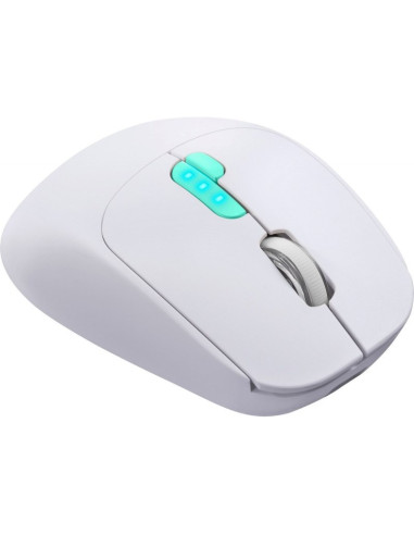 Defender Mysz Nitta Mm-307 Rf+Bt Optic 1600Dpi 6P Biała