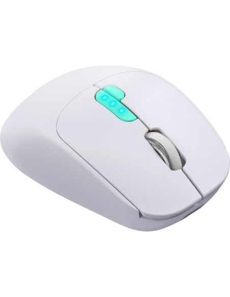 Defender Mysz Nitta Mm-307 Rf+Bt Optic 1600Dpi 6P Biała