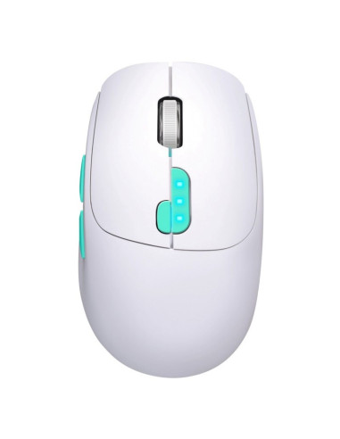 Defender Mysz Nitta Mm-307 Rf+Bt Optic 1600Dpi 6P Biała