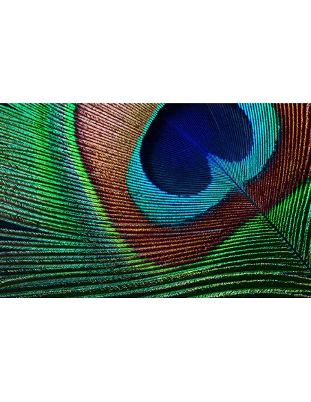 Epson Projektor Eh-Tw7000 Lcd 3000Ansi 4K 40000:1