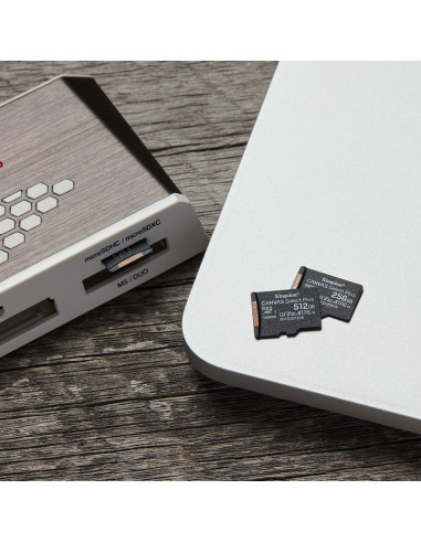 Karta Pamięci Kingston Canvas Select Plus Sdcs2/256Gbsp (256Gb  Class 10, Class A1  Karta Pamięci)