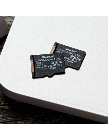 Karta Pamięci Kingston Canvas Select Plus Sdcs2/256Gbsp (256Gb  Class 10, Class A1  Karta Pamięci)