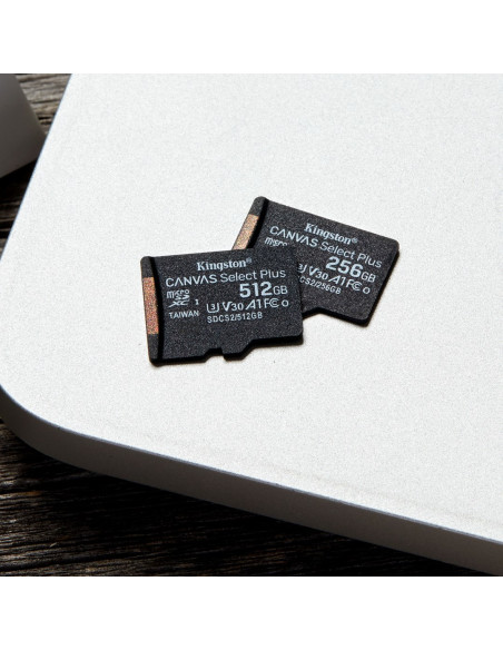 Karta Pamięci Kingston Canvas Select Plus Sdcs2/256Gbsp (256Gb  Class 10, Class A1  Karta Pamięci)