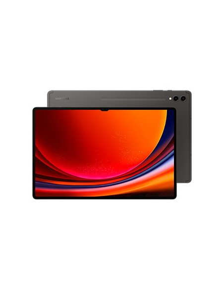 Samsung Galaxy Tab S9 Ultra Sm-X916B 5G Qualcomm Snapdragon Lte-Tdd & Lte-Fdd 512 Gb 37,1 Cm (14.6") 12 Gb Wi-Fi 6 (802.11Ax) An