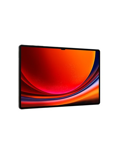 Samsung Galaxy Tab S9 Ultra Sm-X916B 5G Qualcomm Snapdragon Lte-Tdd & Lte-Fdd 512 Gb 37,1 Cm (14.6") 12 Gb Wi-Fi 6 (802.11Ax) An
