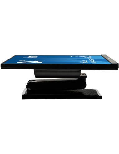 T2454Msc-B1Ag 60.5Cm 24In Ips/1920X1080 250Cd 10Tp Pcap