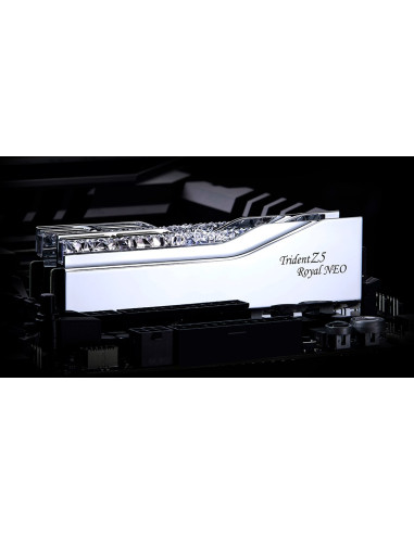G.skill Trident Z5 Royal Rgb Ddr5 2X24Gb 8000Mhz Cl40 Neo F5-8000J4048G24Gx2-Tr5Ns