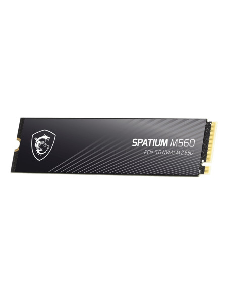 Ssd Pcie G5 M.2 Nvme 1Tb Spatium M560 S78-440L0F0-P83 Msi
