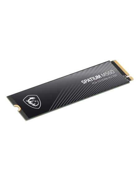Ssd Pcie G5 M.2 Nvme 1Tb Spatium M560 S78-440L0F0-P83 Msi