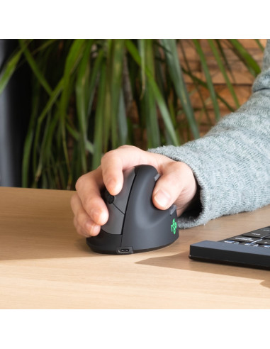 R-Go Pele He Ergonomiczna Praworęczna Bluetooth Czarna/Srebrna Retail