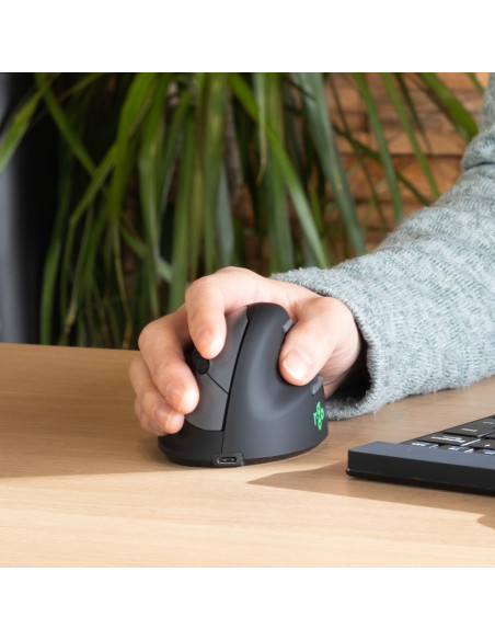 R-Go Pele He Ergonomiczna Praworęczna Bluetooth Czarna/Srebrna Retail