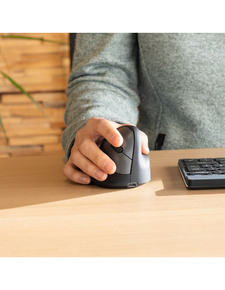 Ergonomiczna Mysz R-Go Maus He Ergonomisch Rechts Bluetooth Mittel Schwarz/Sil Retail