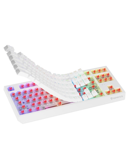 Genesis Thor 230 Tkl Klawiatura Gaming Usb + Rf Wireless + Bluetooth Qwerty Us English Biały