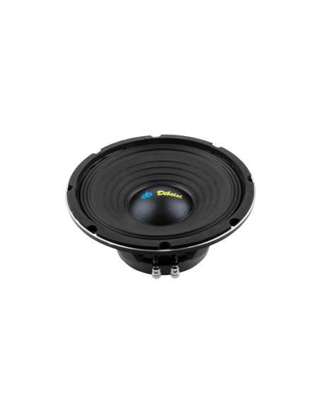 Głośnik Dibeisi 10 Cali Model Dbs-Ps1005-8