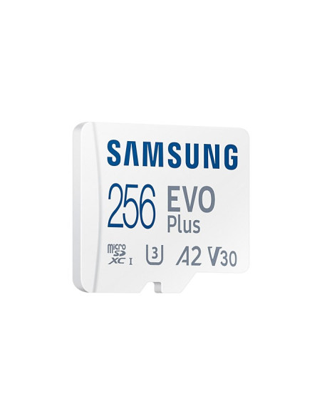 Samsung Evo Plus Microsdxc 256 Gb