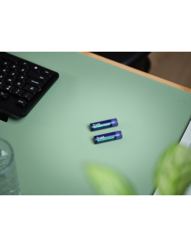 Baterie Aa Trust Usb-C Rechargeable Batteries 2P