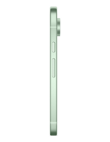 Telefon Komórkowy Pixel 9 256Gb/Wintergreen Google