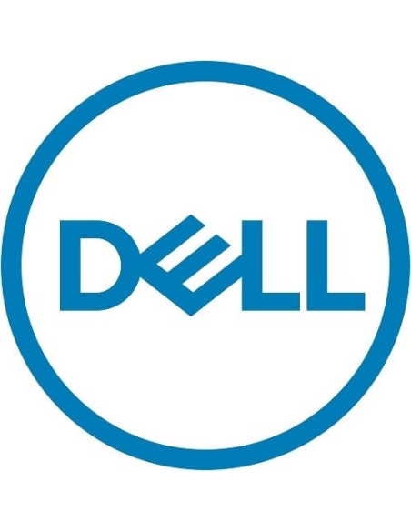 Dell 161-Bbph Dysk Twardy 4 Tb 7200 Rpm 3.5" Nl-Sas