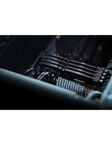 Kingston Ddr5 32Gb 6000Mt/S Cl36 Dimm (Kit Of 2) Fury Beast Black Expo