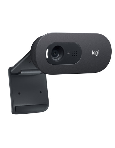 Logitech C505E Kamera Internetowa 1280 X 720 Px Usb Czarny