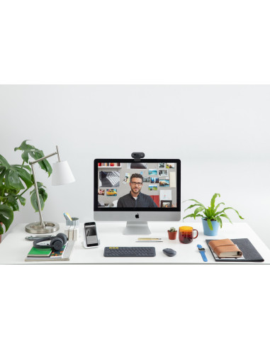 Logitech C505E Kamera Internetowa 1280 X 720 Px Usb Czarny