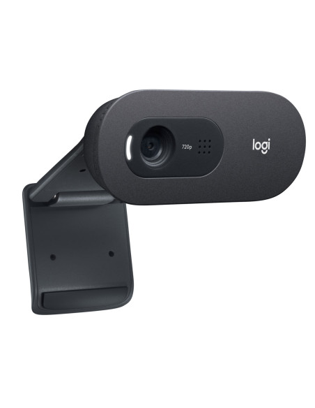 Logitech C505E Kamera Internetowa 1280 X 720 Px Usb Czarny