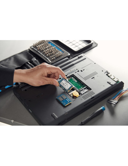 Kingston Dysk Ssd Skc600Ms/256G Kc600 Sata3