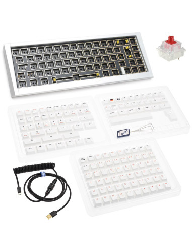 Ducky Outlaw 65 Klawiatura Uniwersalne Usb Srebrny