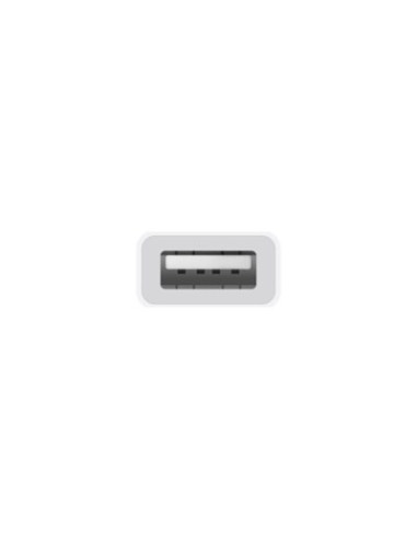 Apple Usb-C To Usb Adapter