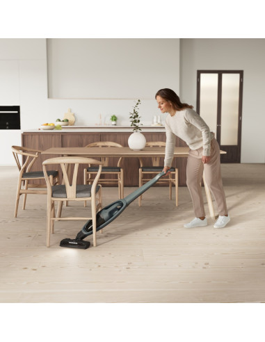 Odkurzacz Electrolux Es52C212Xn