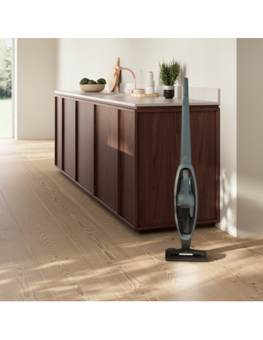 Odkurzacz Electrolux Es52C212Xn