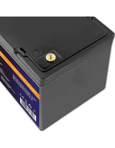 Qoltec Akumulator Lifepo4 Litowo-Żelazowo-Fosforanowy | 12.8V | 50Ah | 640Wh | Bms