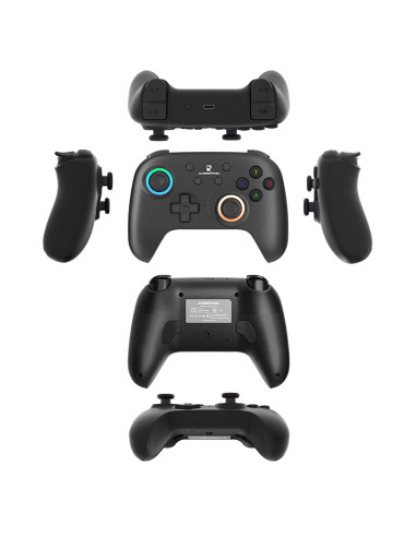 Gamepad Anbernic P01 Black