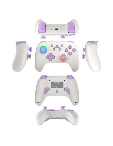 Gamepad Anbernic P01 Beige White