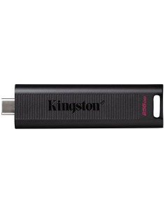Kingston Flash 256Gb Max 1000R/900W Usb 3.2 Datatraveler Gen 2 2
