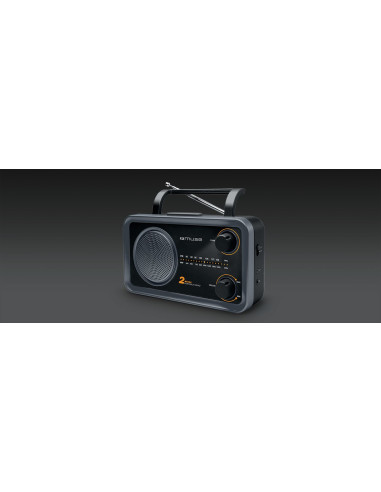 Przenośne Radio Muse M-06Ds, Szary (Wejście Aux, 2 Pasmowe)