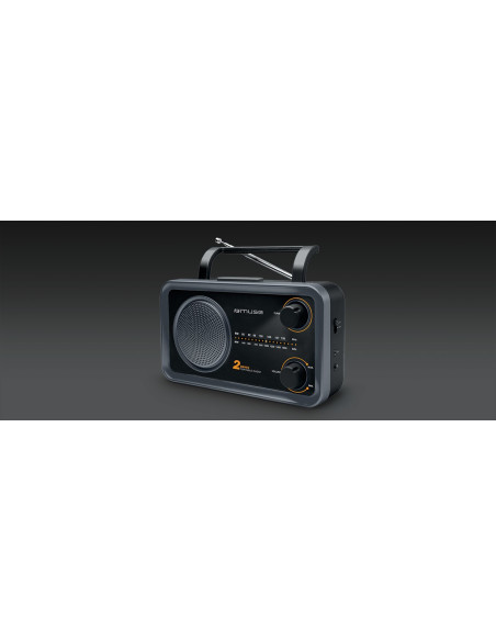 Przenośne Radio Muse M-06Ds, Szary (Wejście Aux, 2 Pasmowe)