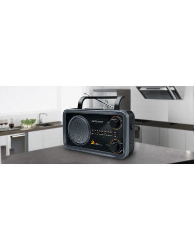 Przenośne Radio Muse M-06Ds, Szary (Wejście Aux, 2 Pasmowe)