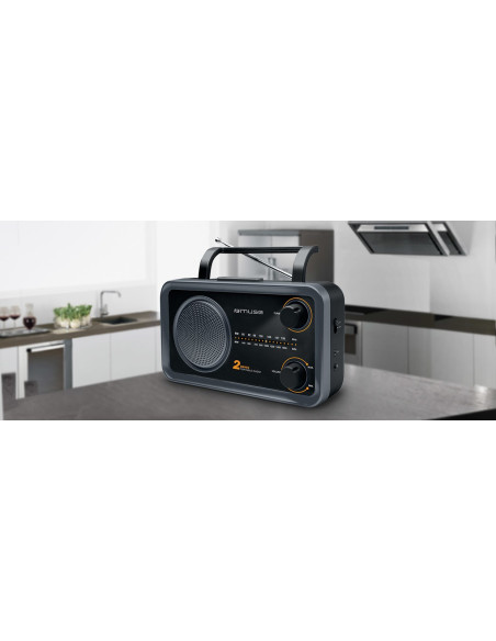 Przenośne Radio Muse M-06Ds, Szary (Wejście Aux, 2 Pasmowe)