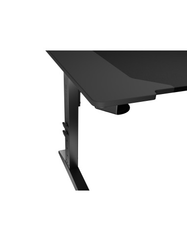 Biurko Gamingowe Genesis Holm Modular 120